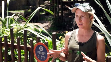 Australian zookeepers travel to Laos to help orphaned bears rescued from the illegal wildlife trade