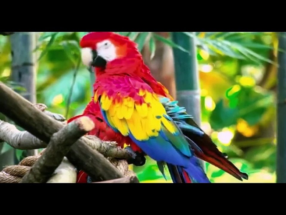 DIVERSITY OF NATURE