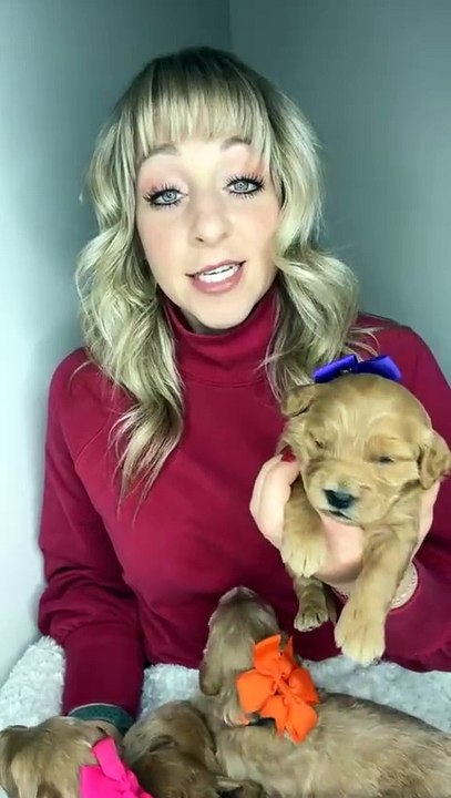 🐾 Welcome to the Purr-fect Cat Paradise! 🐾 In today’s video, we dive into