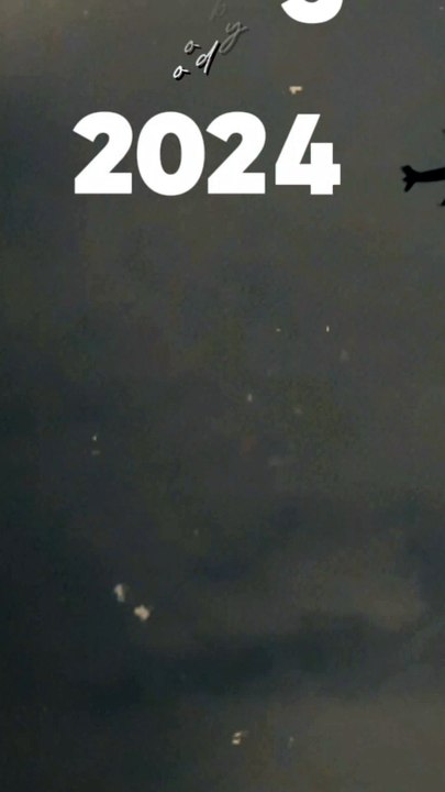 welcome 2025