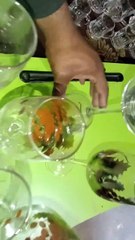 Aone Glass and Crockery Store Glassware, Tableware