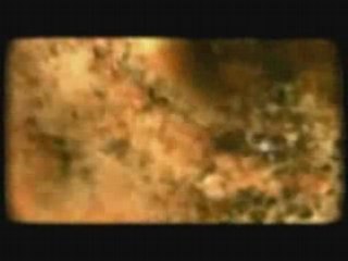 Saad Al Ghamdi - Al Fajr