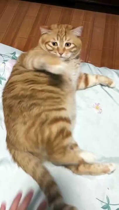 What's up?