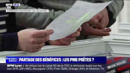 À partir de janvier 2025, les entreprises de 11 à 49 salariés seront obligées de proposer un dispositif de partage de la valeur