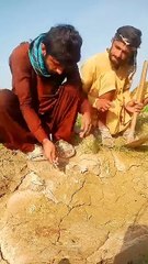 Most funny videos #dailymotion #mureedali #funny