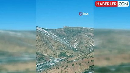 Gümüşhane'de İki Ayının Eğlenceli Güreşi Kameralara Yansıdı