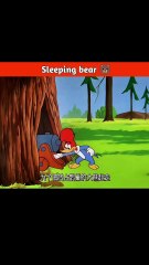 Sleeping bear 🐻