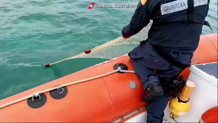 Guardia costiera messina