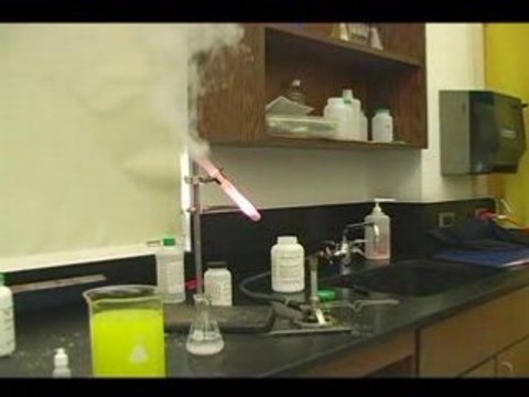 Chlorate de Potassium + Ourson en gélatine