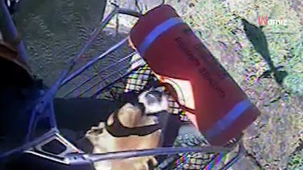 Un randonneur aveugle et son chien partent en forêt : l’expédition ne se passe pas comme prévu