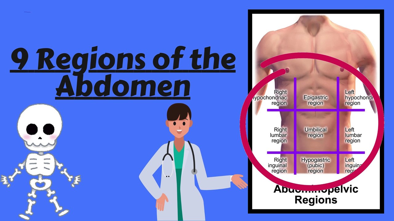 9 Regions of Abdomen made simple