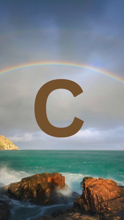C 3