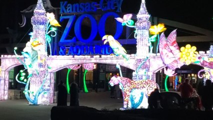 GloWild at KC Zoo delivers a magical experience with its glowing entrance and displays