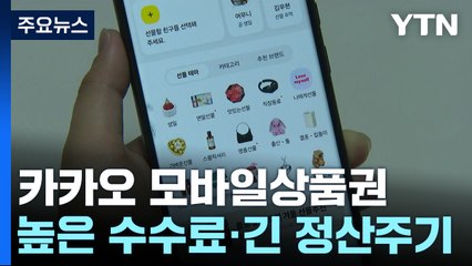점주들 '애물단지' 카카오 모바일상품권, 수수료율 내리고 정산기한 단축...숙제는? / YTN