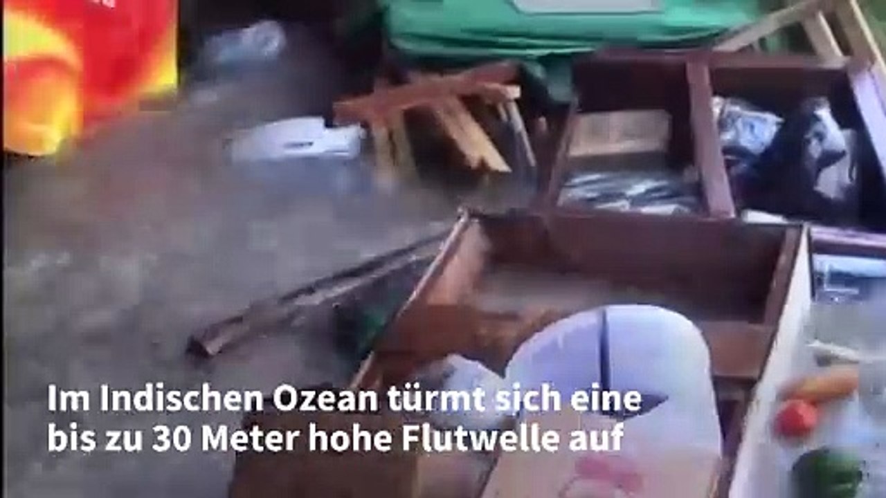 Die Tsunami-Katastrophe 2004: Tödliche Riesenwellen