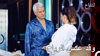 لا يمكنك أن تنسى الانفصال بيننا يا هاليت - التفاح الحرام الحلقة ال 55