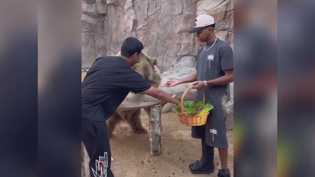 Las vacaciones de Lamine Yamal más peligrosas: osos, serpientes...