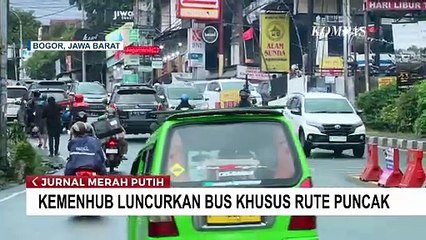 Kemenhub Luncurkan Bus Khusus Rute Puncak per Februari 2025, Kemenhub: Disubsidi Pemerintah