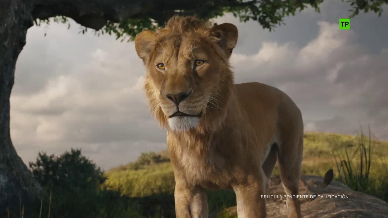 Mufasa El rey león - Tráiler español