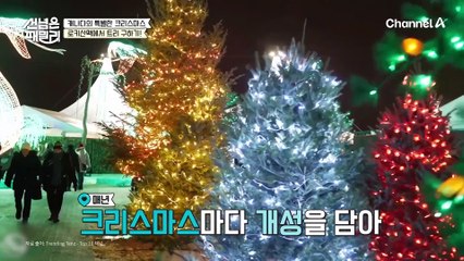 크리스마스에 진심인 캐나다★ 크리스마스 트리 찾으러 로키 산맥으로 출동↗?