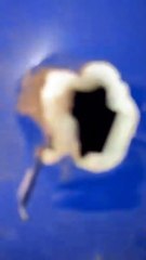 VIDEO: Pasajero filma los instantes finales del vuelo de Azerbaijan Airlines