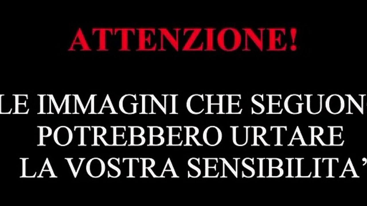 Reggio incidente