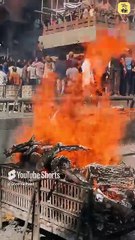 नींद बहुत आती है? || आचार्य प्रशांत