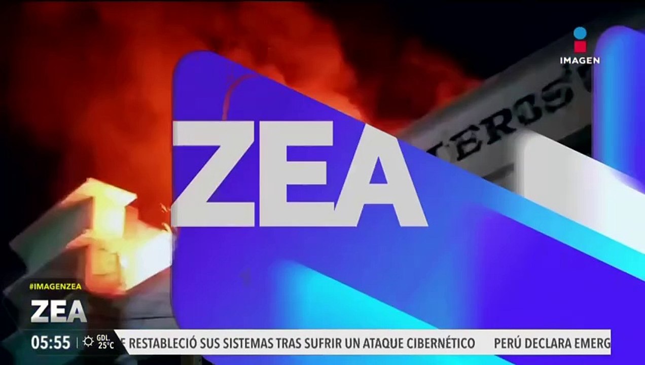 Mueren 2 perritos en un incendio en Gómez Palacio, Durango