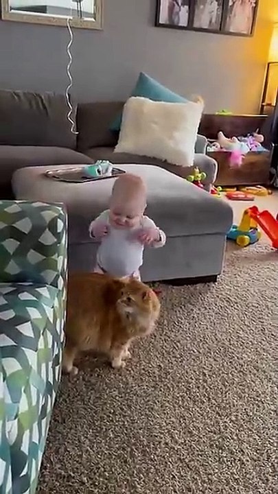 Adorable Fluffy Cat Helps Baby Take First Steps!!