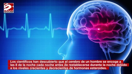 El cerebro masculino se encoge a las 8 de la noche