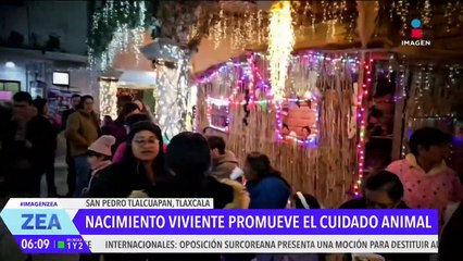 Nacimiento viviente atrae a locales y turistas en San Pedro Tlalcuapan, Tlaxcala