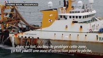 Au large de Dunkerque, de la pêche industrielle en pleine aire maritime protégée