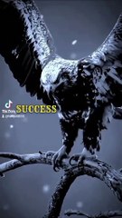 Success take time# motivation video