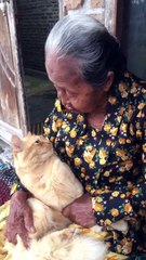 Nenek berbicara dengan kucing