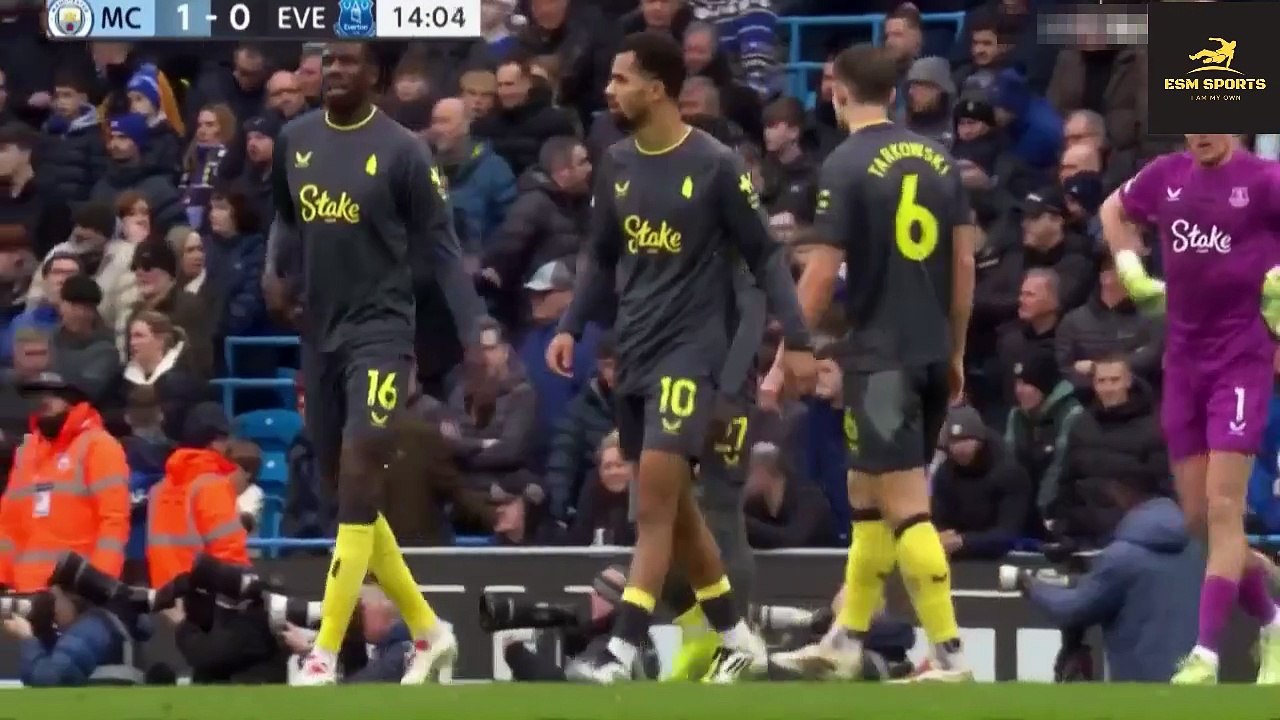 Manchester City vs Everton 11 Highlights And Goals Premier League
