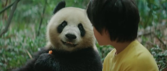 MOON LE PANDA - Premières images [Le 9 avril au cinéma ]