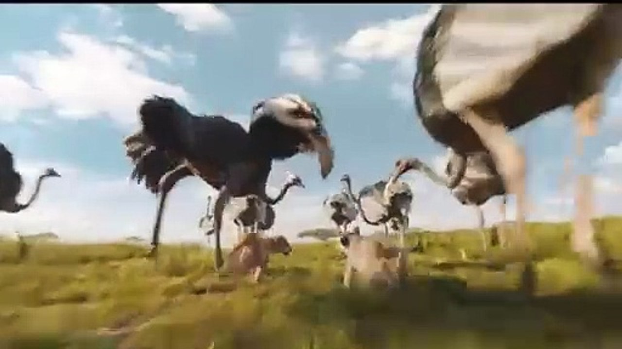 La bande-annonce de "Mufasa ; Le roi lion", au cinéma depuis le 18 décembre 2024.