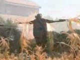 Jeepers Creepers 2 (Theatrical Trailer)