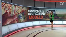 cambio de modelo económico
