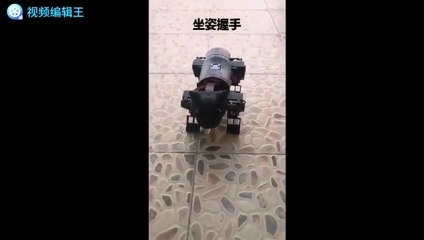 Bionic Robot Cat