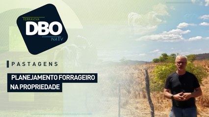 Pastagens: planejamento forrageiro na propriedade