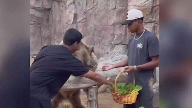 Las vacaciones de Lamine Yamal con una serpiente y un oso mucho más grandes que él