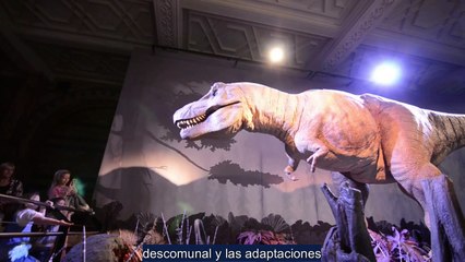 "¿Real o Falso? Los Animales Gigantes Más Sorprendentes de la Historia"