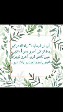 Sunan e Abu Dawood Hadith
