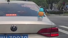 How would you react to this🥹  #squirtle #usa #caraccessory #funny