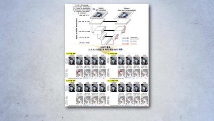 1년 뒤 북극 해빙 변화 정확히 예측하는 AI 모델 개발 / YTN