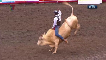 Monta - El niño de oro - 26 diciembre 2024