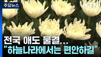 전국에서 애도 물결..."하늘나라에서는 편안하길" / YTN