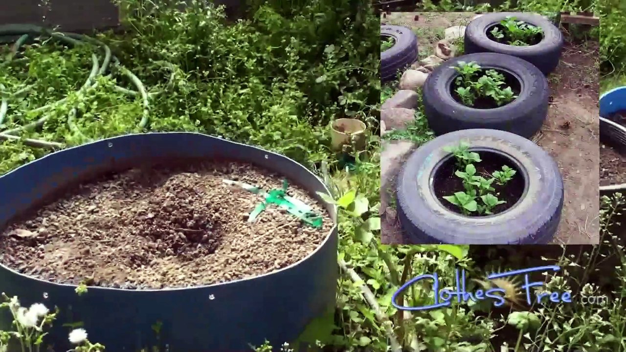 1ère partie : Journée mondiale du jardinage nu : Créée en 2005 par Mark Storey, rédacteur pour la revue "Nude & Naturel magazine" et le permaculteur Jacob Gabriel