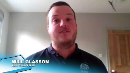 Quad bike “wreaks havoc” destroying habitats at Hothfield Nature Reserve near Ashford